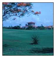 Cancun Golf Course