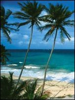 Barbados Holidays and more at Holidaysplease.co.uk