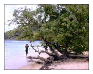 Man on Beach, Martinique