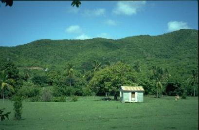 Rural Antigua