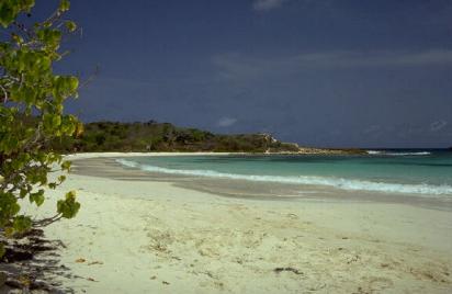 Halfmoon Bay Beach