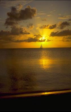 Caribbean Sunset