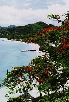 Overlooking Beach at St. George's Medical School