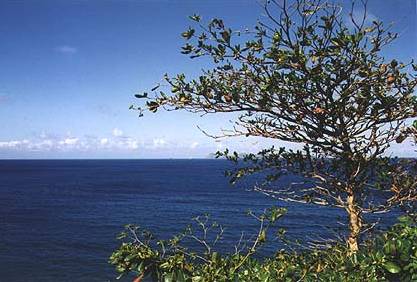 View from Leaper's Hill