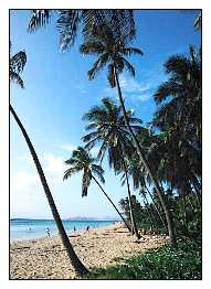 St. Kitts and Nevis Beach