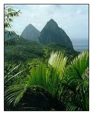 Pitons, St. Lucia