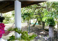 A Peace of Paradise, St. Lucia
