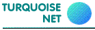 Turquoise Net