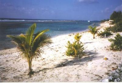 Brac Southside Looking West, Cayman Brac